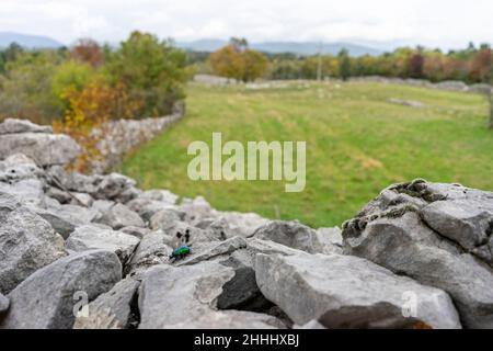 Il reste principalement des murs d'une ancienne colline, ville d'une tribu préhistorique qui habitait cette région il y a environ 3 à 4 mille ans. Banque D'Images