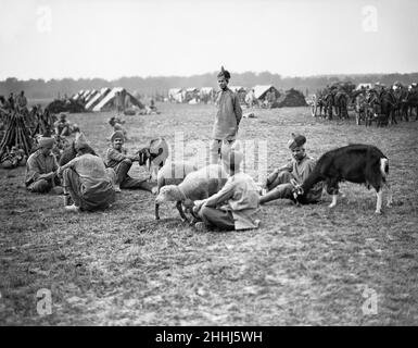 Des soldats de la division indienne de Lahore en 3rd ont été vus ici à leur camp d'Orléans, en France, avec leurs chèvres.Les animaux fournissent aux troupes du lait et de la viande.Vers octobre 1914 Banque D'Images