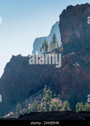 Canaris à Ténérife.Vue spectaculaire sur la montagne depuis le sentier de randonnée Red de Senderos TF18. Banque D'Images