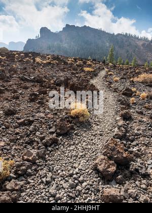 Paysage de lave à Ténérife.Sur le sentier de randonnée Red de Senderos TF18. Banque D'Images