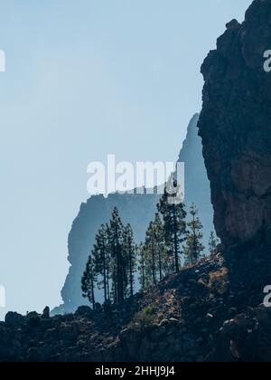 Canaris à Ténérife.Vue spectaculaire sur la montagne depuis le sentier de randonnée Red de Senderos TF18. Banque D'Images