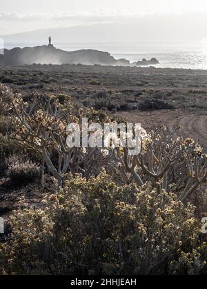 Teno, nord-ouest de Ténérife - péninsule avec phare, baie de pêche et baignade et plage, rochers et promenades en montagne.Le phare. Banque D'Images