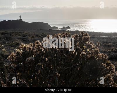 Teno, nord-ouest de Ténérife - péninsule avec phare, baie de pêche et baignade et plage, rochers et promenades en montagne.Le phare. Banque D'Images