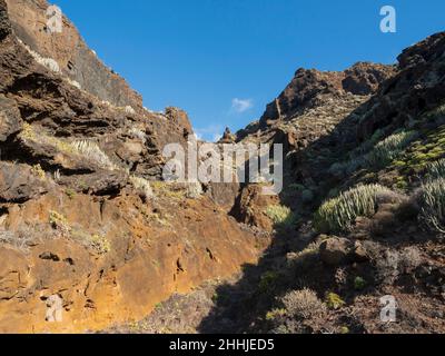 Teno, nord-ouest de Ténérife - péninsule avec phare, baie de pêche et baignade et plage, rochers et promenades en montagne.Teno Alto, haute terre. Banque D'Images