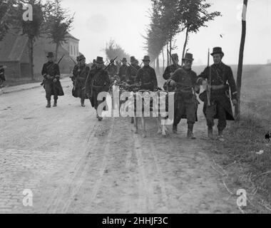 Les mousquetons belges et leurs équipes de chiens d'armes à feu vus ici sont revenus à Bruxelles après que Louvain tombe dans l'armée allemande.19th août 1914 Banque D'Images