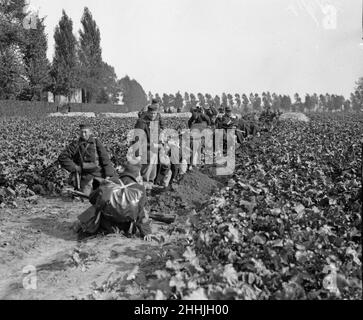 Des soldats belges ont vu ici creuser des tranchées avant la ville d'Audeghem et installer des mitrailleuses avant la bataille .Septembre 25th 1914 Banque D'Images