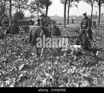 Des soldats belges ont vu ici creuser des tranchées avant la ville d'Audeghem et installer des mitrailleuses avant la bataille .Septembre 25th 1914 Banque D'Images