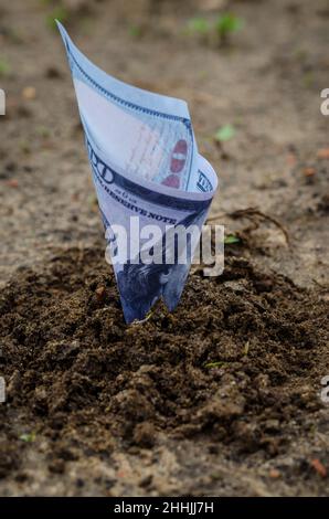 Le dollar s'est fait payer comme s'il s'était mis à pousser dans le sol Banque D'Images