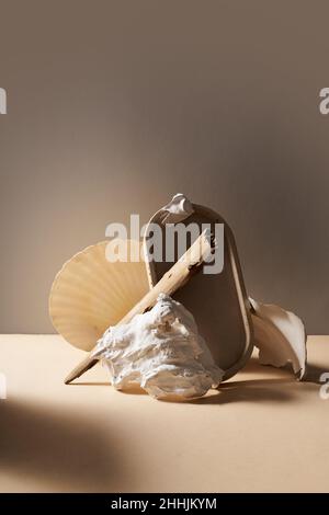 Seashell près miroir de verre avec bâton de bois et pierre blanche placé sur la table contre fond gris dans studio moderne clair Banque D'Images