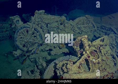 Soupire de solemet nageant dans une moto nausérée en mer Rouge sombre Banque D'Images