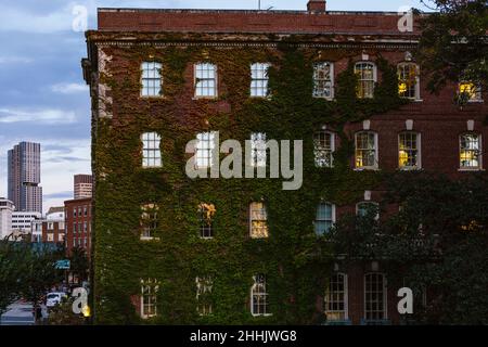 Mur en briques rouges de construction d'appartements recouvert de lierre verte à Boston Banque D'Images