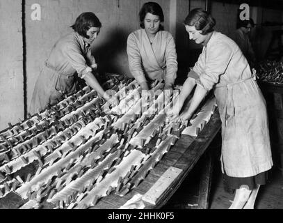 Peaux de serpent reptile.Nouvelle ouest de l'industrie de l'Angleterre, les femmes qui s'arrime vers le bas peaux de serpent pour sécher.13th janvier 1933. Banque D'Images
