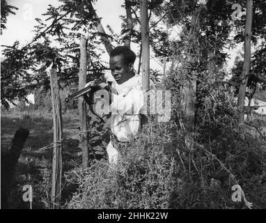 Guerre d'Abyssinian septembre 1935Abyssinian sniper vu ici sur le front d'Ogadan Banque D'Images