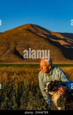 États-Unis, Idaho, Bellevue, homme principal avec la frontière collie dans le champ au coucher du soleil Banque D'Images