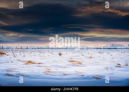 Une clôture en fil barbelé éloignée pour un enclos d'animaux avec des champs de prairie couverts de neige sous un ciel spectaculaire en Alberta Canada. Banque D'Images