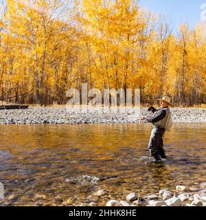 USA, Idaho, Bellevue, Senior man pêche à la mouche à Big Wood River en automne Banque D'Images