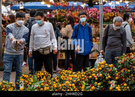 Hong Kong, Chine.23rd janvier 2022.Les gens achètent des arbres kumquat, également connus sous le nom d'arbres tangerines, sur un marché de fleurs devant le prochain nouvel an chinois lunaire 2022 du tigre à Hong Kong le 23 janvier 2022.Le gouvernement de Hong Kong a réintroduit des restrictions sociales Covid plus strictes, obligeant les écoles, les entreprises et les lieux publics à fermer jusqu'après les vacances et les festivités du nouvel an chinois (CNY) pour contrôler la propagation de la variante Omicron, la stratégie du gouvernement visant à zéro infection dans la ville.Crédit : SOPA Images Limited/Alamy Live News Banque D'Images