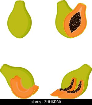 Papaye, fruits entiers, moitié, tranches.Illustration vectorielle Illustration de Vecteur