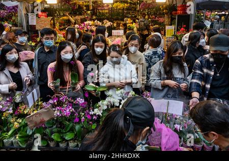 Hong Kong, Chine.23rd janvier 2022.Les gens achètent des fleurs typiques du nouvel an chinois sur un marché aux fleurs avant le nouvel an chinois lunaire 2022 du tigre à Hong Kong le 23 janvier 2022.Le gouvernement de Hong Kong a réintroduit des restrictions sociales Covid plus strictes, obligeant les écoles, les entreprises et les lieux publics à fermer jusqu'après les vacances et les festivités du nouvel an chinois (CNY) pour contrôler la propagation de la variante Omicron, la stratégie du gouvernement visant à zéro infection dans la ville.(Photo par Miguel Candela/ SOPA Images/Sipa USA) crédit: SIPA USA/Alay Live News Banque D'Images