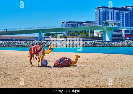 La plage de sable JBR Marina avec des chameaux et une vue sur la passerelle et l'architecture moderne de l'île de Bluewaters, Dubaï, Émirats Arabes Unis Banque D'Images