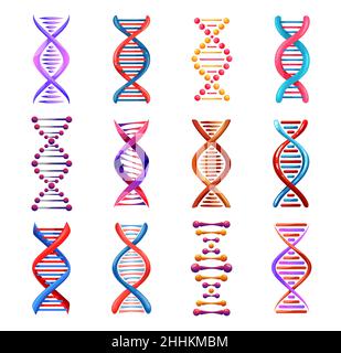 Icônes de l'hélice de l'ADN, signes vectoriels de médecine génétique.Code génétique humain, structure en spirale des molécules, science et recherche scientifique.Éléments de brin d'ADN, e Illustration de Vecteur