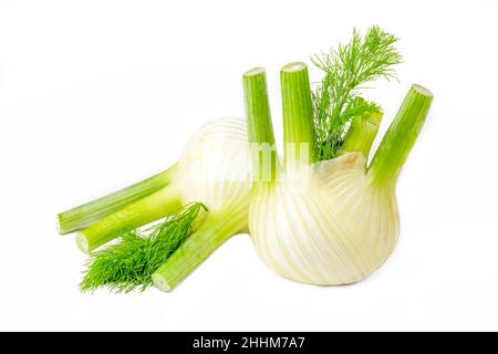 Bulbe de fenouil frais isolé sur fond blanc Banque D'Images
