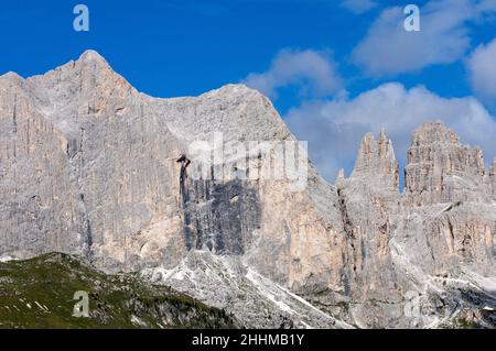 Groupe de montagnes de Catinaccio (avec Cima Catinaccio sur la gauche, 2981 m) et Tours de Vajolet, Trento, Trentin-Haut-Adige, Italie Banque D'Images