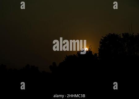 Le soleil se met presque juste avant le crépuscule cette fois-là, la lumière radiante dorée est mise sous les arbres Banque D'Images