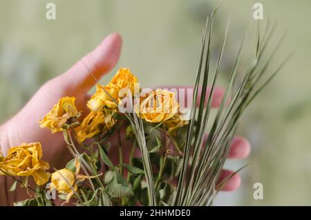 Le bouquet de fleurs jaunes se trouve dans la main d'un homme.La décoloration des roses.Gros plan.Mise au point sélective. Banque D'Images