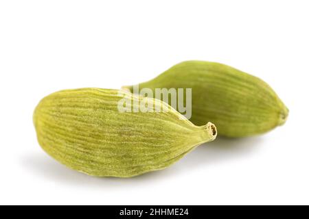 Les graines de cardamome isolé sur fond blanc Banque D'Images