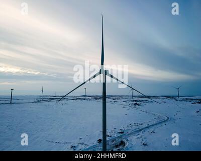 Longue rangée d'éoliennes dans un paysage hollandais d'hiver.Sources d'énergie alternatives.Énergie verte et écologique Banque D'Images