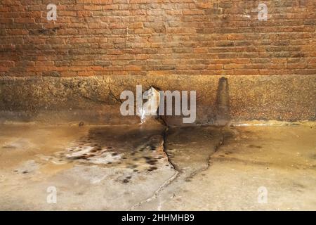 Citernes romaines, Fermo, Marche, Italie, Europe Banque D'Images