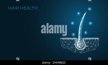 Vitamines pour les cheveux, les soins et la nutrition.Concept pour shampoings, sérums et masques.Prévention de la perte de cheveux, extrémités fendues.Illustration vectorielle de style poly bas. Illustration de Vecteur