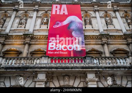 Londres, Royaume-Uni.25th janvier 2022.Francis Bacon: Man and Beast à la Royal Academy of Arts, Londres.C'est la première exposition à tracer le développement de l'œuvre de l'artiste à travers la lentille de sa fascination pour les animaux.Il comprend 46 peintures couvrant sa carrière et s'étend du 29 janvier au 17 avril 2022 crédit: Guy Bell/Alamy Live News Banque D'Images