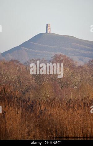 Vue de Glastonbury Tor depuis la réserve de Ham Wall RSPB aux niveaux de Somerset Banque D'Images