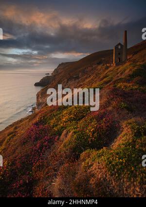 Papule Coates tin mine, St Agnes, Cornwall, UK Banque D'Images