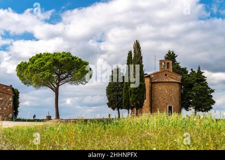 Une chapelle avec des cyprès au centre du champ. Église sur une colline et environnement verdoyant. Chapelle de la Madonna di Vitaleta, Sienne, Toscane, Italie. Banque D'Images
