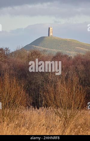 Vue de Glastonbury Tor depuis la réserve de Ham Wall RSPB aux niveaux de Somerset Banque D'Images