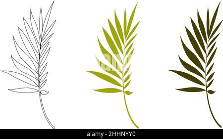 Silhouette vectorielle dessinée à la main d'une feuille de palmier isolée sur un fond blanc.Feuilles tropicales. Illustration de Vecteur