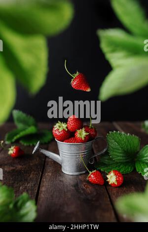 Fraisiers doux frais et humides lévitation dans un arrosoir sur une table en bois, un mur noir, des feuilles vertes, des gouttes d'eau.Fraîcheur, papier peint concept été.ECO, bio fruits de ferme concept dans la clé basse Banque D'Images