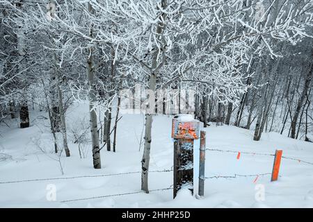 Aucun panneau d'intrusion n'est affiché sur un poteau de clôture en bois en hiver avec un avertissement d'avertissement de neige orange Banque D'Images