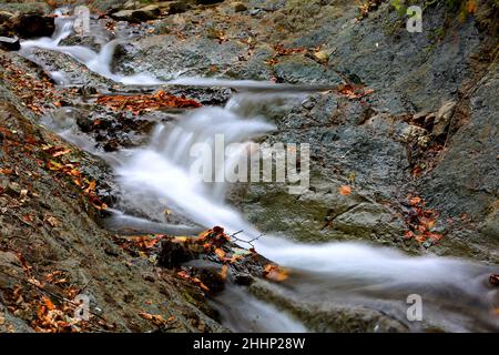 Paysage avec petite cascade sur la rivière de montagne dans Carpates, Ukraine Banque D'Images