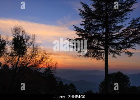 Coucher de soleil au sanctuaire de la vie sauvage de Binsar (Uttarakhand, Inde) Banque D'Images