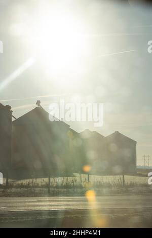 Vue des trémies à grain depuis la fenêtre de voiture dans la campagne de l'Illinois Banque D'Images