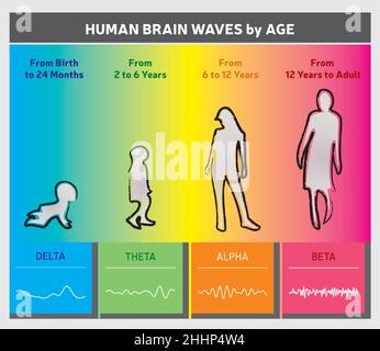 Diagramme des vagues du cerveau humain par âge - Silhouettes de personnes - couleurs arc-en-ciel Illustration de Vecteur