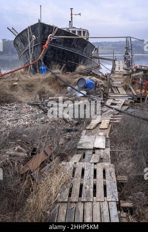 Une des Péniche unique amarrée en face du chantier naval Appledore sur l'estuaire de la rivière Torridge à côté de la piste Tarka, un matin froid et couvert Banque D'Images