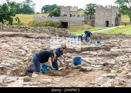 Archéologues creusant au fort auxiliaire romain de Vindolanda à Chesterholm, Northumberland, Royaume-Uni Banque D'Images