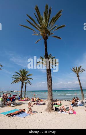 El Arenal Beach, Llucmajor, Majorque, Iles Baléares, Espagne Banque D'Images