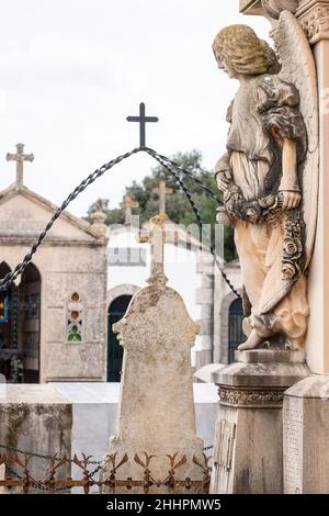 angel, décret de la famille Roig, Sineu, cimetière municipal, Majorque,Îles Baléares, Espagne Banque D'Images