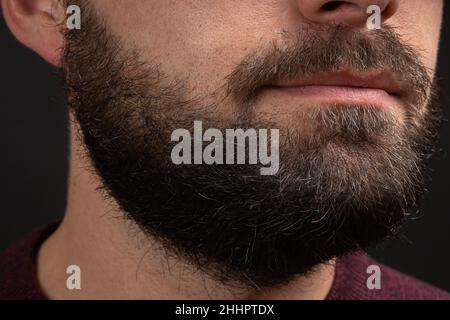 Bel homme barbu en gros plan.Gros plan sur les barbes.Homme avec moustache en pleine croissance.Une barbe parfaite.Gros plan d'un jeune homme barbu.Gros plan de la poignée Banque D'Images